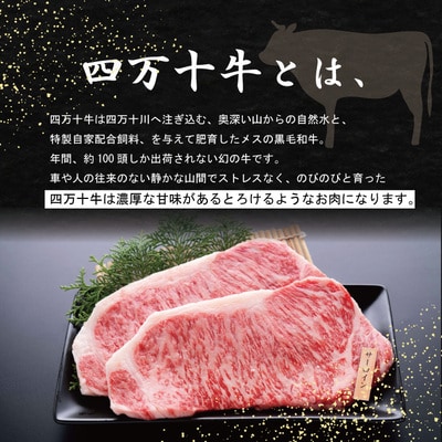 焼肉四万十牛特選(約300g) 26-976