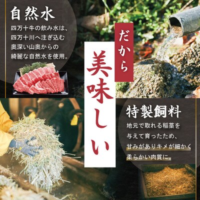 焼肉四万十牛特選(約300g) 26-976