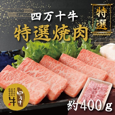四万十牛特選焼肉(約400g) 26-001