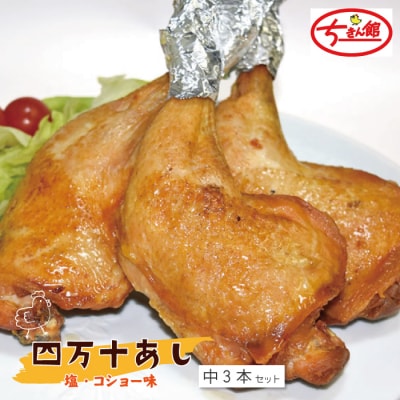 【ちきん館】四万十あし(塩・コショー味)中 3本セット R7