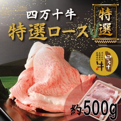 四万十牛特選ローススライス(すき焼き・しゃぶしゃぶ用)約500g 26-974