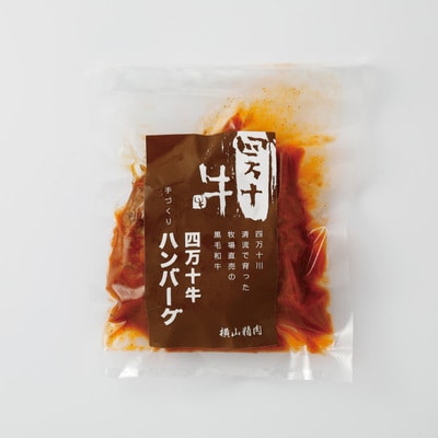 四万十牛100%使用ジューシーな煮込みハンバーグ5個 26-400