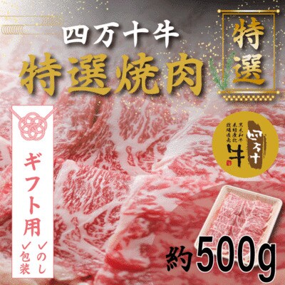 【ギフト用(包装・のし対応)】四万十牛特選焼肉(約500g) 26-977G