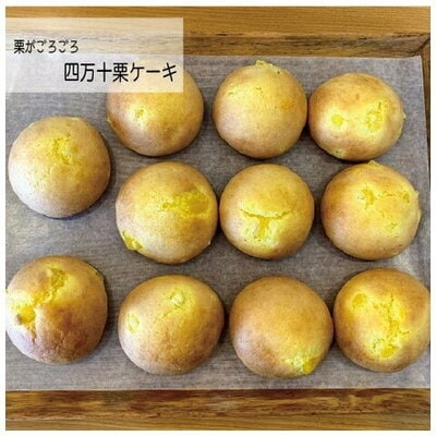 パンのピノキオ特製　生食パン&菓子パンのセット R5-676