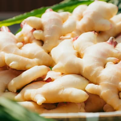 【山﨑生姜農園】スパイス4本セット(生姜塩・紅生姜塩・にんにく紅生姜塩・生姜パウダー) 26