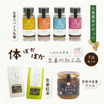 【山﨑生姜農園】生姜農家が作った体ぽかぽか生姜の加工品7点セット