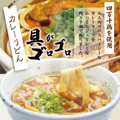 四万十鶏がゴロゴロ入った極太カレーうどん5食入り 26-185