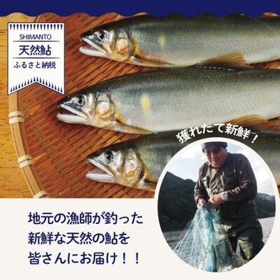 炭火でじっくり焼いた四万十川天然鮎の塩焼き(3～4匹) 26-838