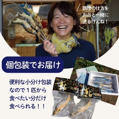 炭火でじっくり焼いた四万十川天然鮎の塩焼き(3～4匹) 26-838