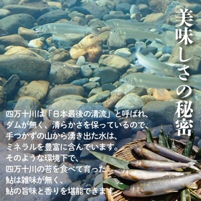 四万十川の恵みをご家庭で!四万十川天然鮎セット(塩焼き4～6匹+天然冷凍鮎5～10匹) 26-840