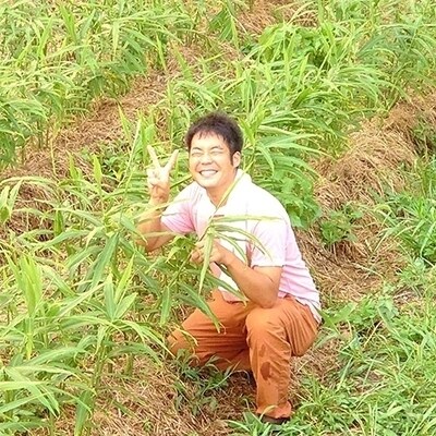 しょうがシロップ　計2本入り 26-202