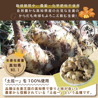 すりおろし生姜の辛口ジンジャーシロップ3本入り R5-707
