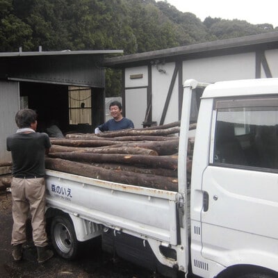 【数量限定】四万十市産　森のなかまの樫炭(黒炭)約5kg 