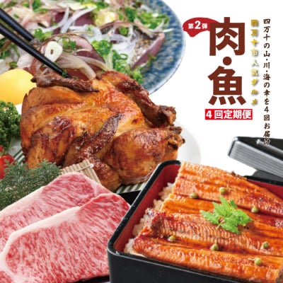 【4ヵ月連続定期便】四万十市人気魚介&お肉返礼品 第2弾 R7