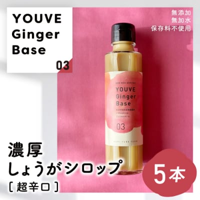 生姜好きさんにオススメ!濃厚・しょうがシロップ5本セット【超辛口】25-965