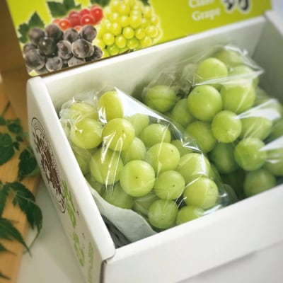 【早期受付・数量限定】四万十市産シャインマスカット2房(約1kg)【2026年9月上旬～9月中旬発送