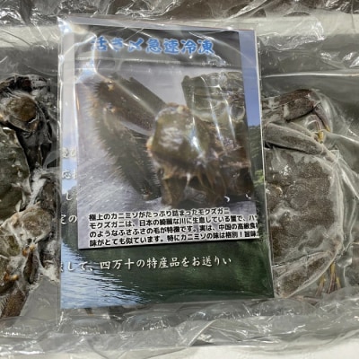 濃厚な旨み!清流四万十川・天然モクズガニ 約1kg(大小混合) R7