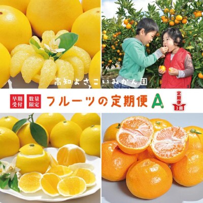 【早期受付・数量限定・3回定期便】高知よさこいみかん園のフルーツ定期便A【配送:R6年3・6・11月