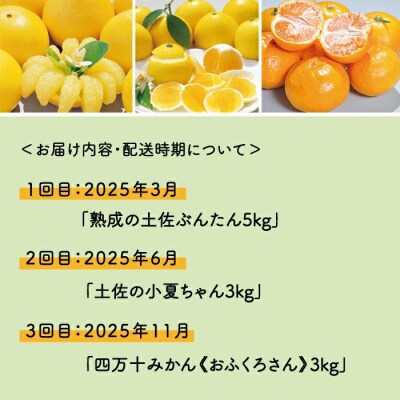 【早期受付・数量限定・3回定期便】高知よさこいみかん園のフルーツ定期便A【配送:R6年3・6・11月