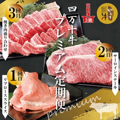 【3回定期便】四万十牛　四万十産黒毛和牛を堪能　プレミアム定期便 R6