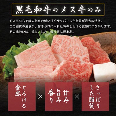 【3回定期便】四万十牛　四万十産黒毛和牛を堪能　プレミアム定期便 R6