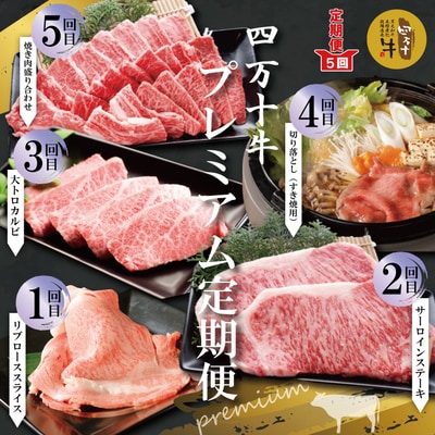 【5回定期便】四万十牛　四万十産黒毛和牛を堪能　プレミアム定期便 R6