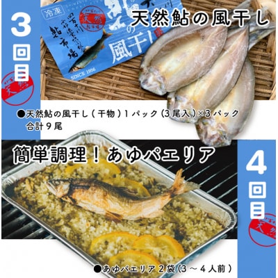 【4回定期便】鮎づくし!清流四万十川で育った天然鮎の定期便 26