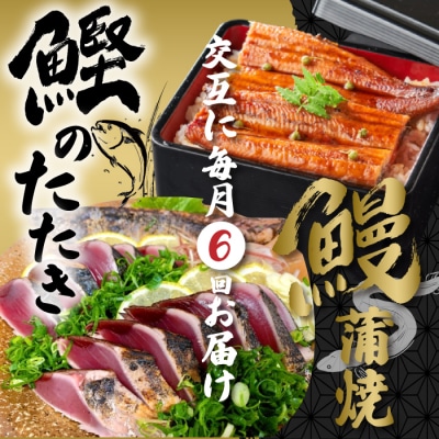 【6回定期便】うなぎの蒲焼と鰹のタタキの月替わり定期便 R7