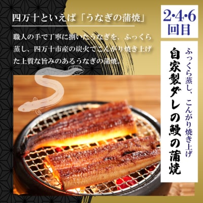 【6回定期便】うなぎの蒲焼と鰹のタタキの月替わり定期便 R7
