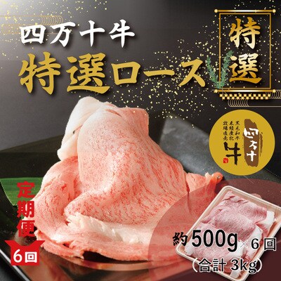 【6回定期便】メス牛 四万十牛特選ローススライス(すき焼き・しゃぶしゃぶ用)約500g×6 計3kg