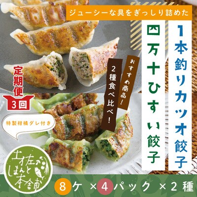 【3回定期便】四万十ひすい餃子・一本釣りかつお餃子(8ヶ×4パック×2種)・たれ付にんにく不使用26
