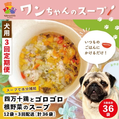 【3回定期便】四万十鶏とゴロゴロ根野菜のスープ 12袋セット×3回配送(合計36袋)ペットフードR6