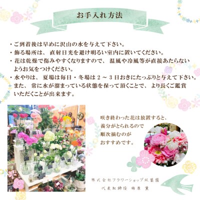 【3回定期便】＜1級フラワー装飾技能士厳選＞季節のおまかせフラワーアレンジメント【生花】(大)26