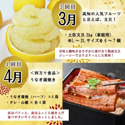 【年末限定】【8回定期便】四万十の人気グルメお楽しみ定期便 しまんとふるさと定期便10万円Aコース 