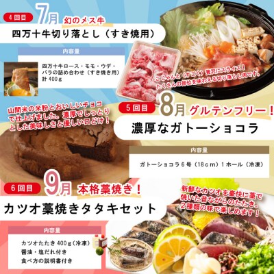 【年末限定 8回定期便】四万十人気グルメお楽しみ しまんとふるさと定期便10万Aコース R7-614