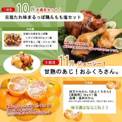 【年末限定 8回定期便】四万十人気グルメお楽しみ しまんとふるさと定期便10万Aコース R7-614