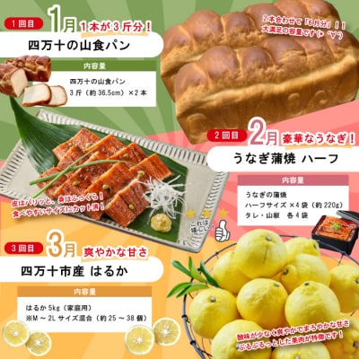 【年末限定 8回定期便】四万十人気グルメお楽しみ しまんとふるさと定期便10万Bコース 25-815