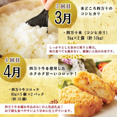 【年末限定】【8回定期便】四万十の人気グルメお楽しみ定期便 しまんとふるさと定期便10万円Bコース 