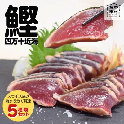 四万十市場のカツオ塩たたき・生姜醤油漬け・季節の魚醤油漬けなどおすすめセット26-19