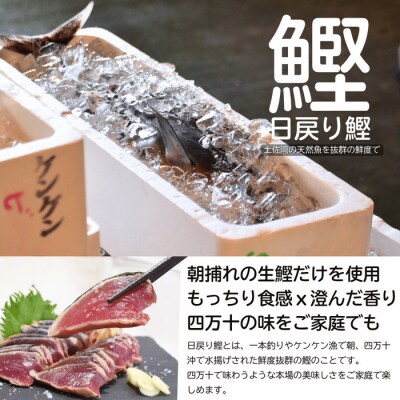 四万十市場のカツオ塩たたき・生姜醤油漬け・季節の魚醤油漬けなどおすすめセット26-19