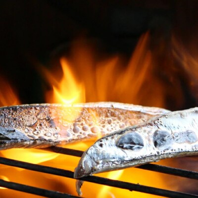 四万十市場のカツオ塩たたき・生姜醤油漬け・季節の魚醤油漬けなどおすすめセット26-19