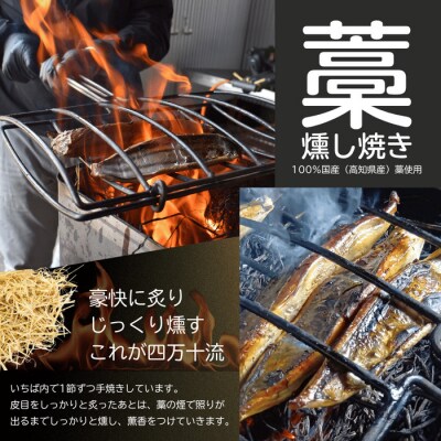 四万十市場のカツオ塩たたき・生姜醤油漬け・季節の魚醤油漬けなどおすすめセット26-19