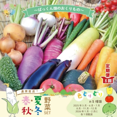 【早期受付 8回定期】農家直送ぱっくん畑野菜(約5種)R7年5～8月、11月～R8年2月に月1回発送