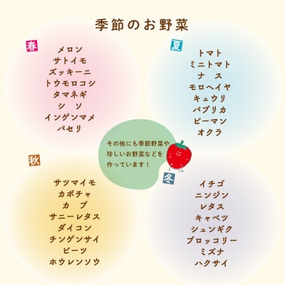 【早期受付 8回定期】農家直送ぱっくん畑野菜(約5種)R7年5～8月、11月～R8年2月に月1回発送
