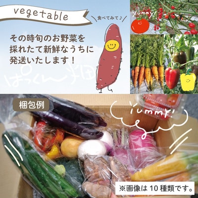 【早期受付 8回定期】農家直送ぱっくん畑野菜(約5種)R7年5～8月、11月～R8年2月に月1回発送