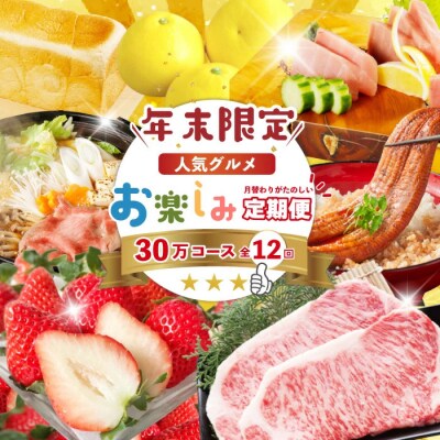 【年末限定12回定期便】四万十の人気グルメお楽しみ しまんとふるさと定期便30万円コース25-618