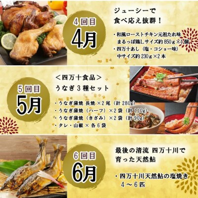 【年末限定/12回定期便】四万十のグルメお楽しみ しまんとふるさと定期便30万円コース 24-618