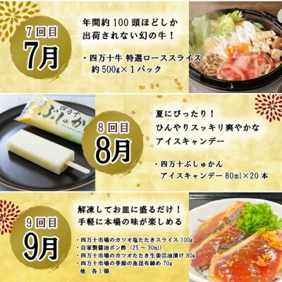 【年末限定/12回定期便】四万十のグルメお楽しみ しまんとふるさと定期便30万円コース 24-618