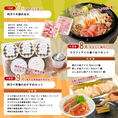 【年末限定12回定期便】四万十の人気グルメお楽しみ しまんとふるさと定期便30万円コース25-618