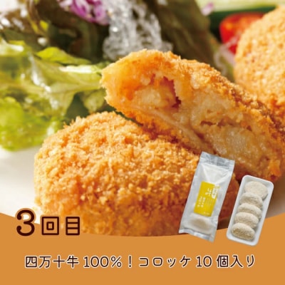 【5回定期便】簡単調理でごちそう!四万十のおかず定期便 R7